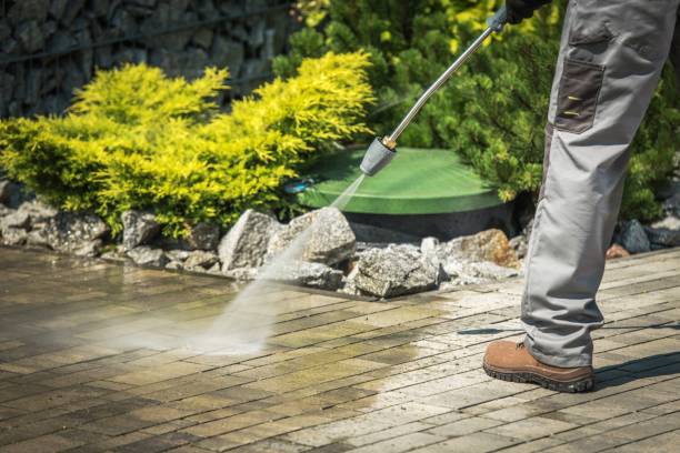 Best Pre-Holiday Cleaning  in Shelbyvle, IL