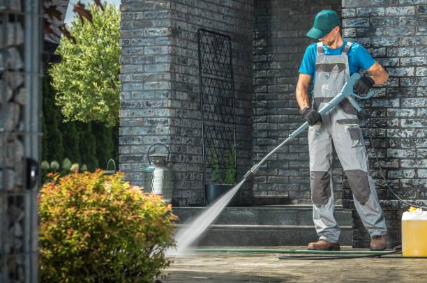 Best Driveway Pressure Washing  in Shelbyvle, IL