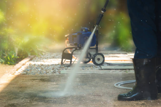 Best Roof Washing  in Shelbyvle, IL